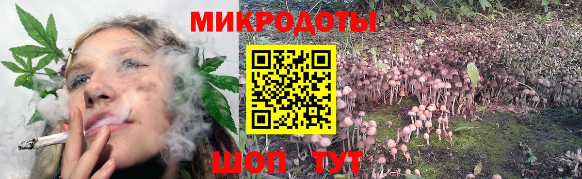 Псилоцибиновые грибы GOLDEN TEACHER  Вход с VPN  Дальнереченск  Псилоцибиновые грибы Magic Shrooms 